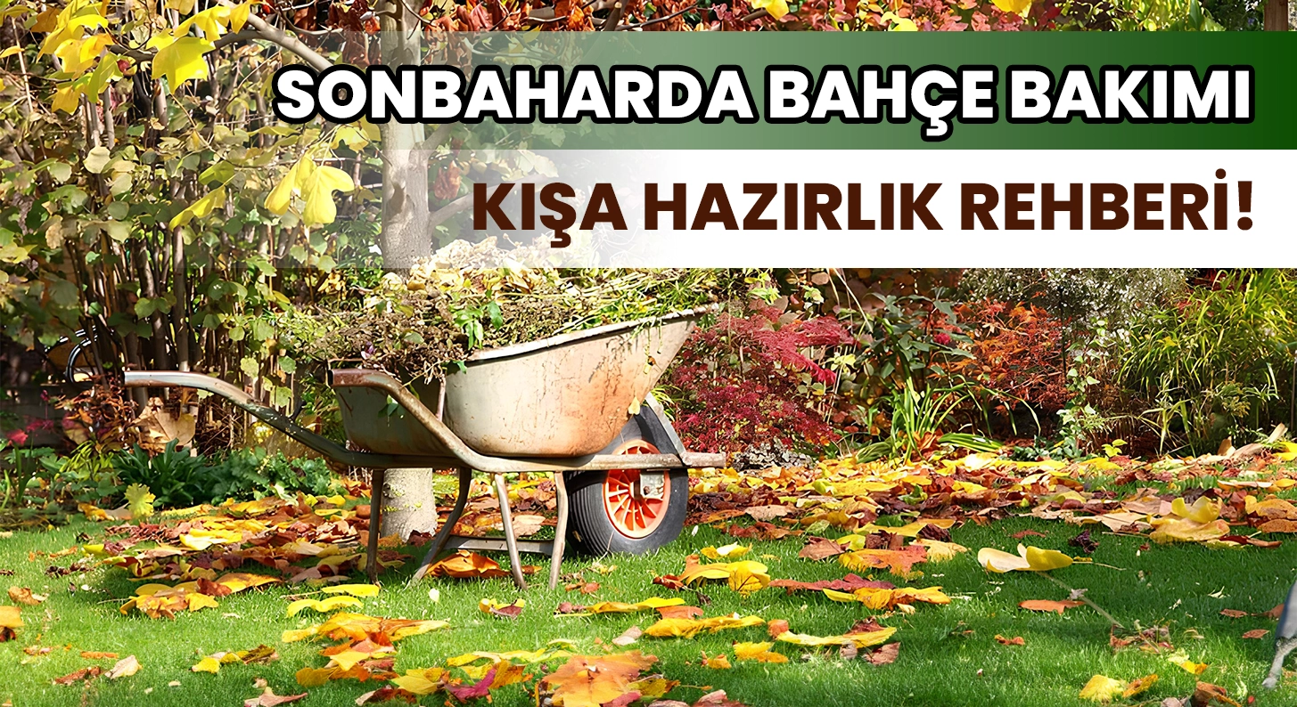 Sonbaharda Bahçe Bakımı: Bahçenize Canlılık Katın!